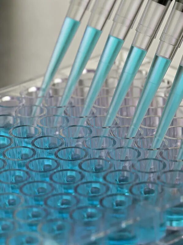 Tsi tech solution innovation. Tsi tech solution innovation