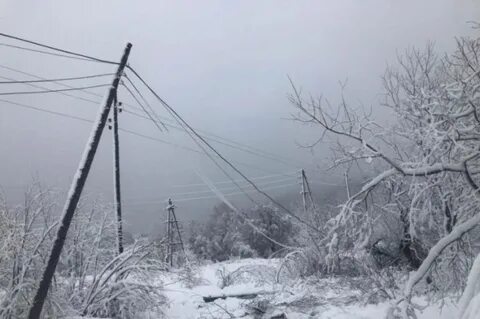 Ясное сахалинская область погода