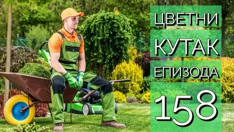 Садовник господа