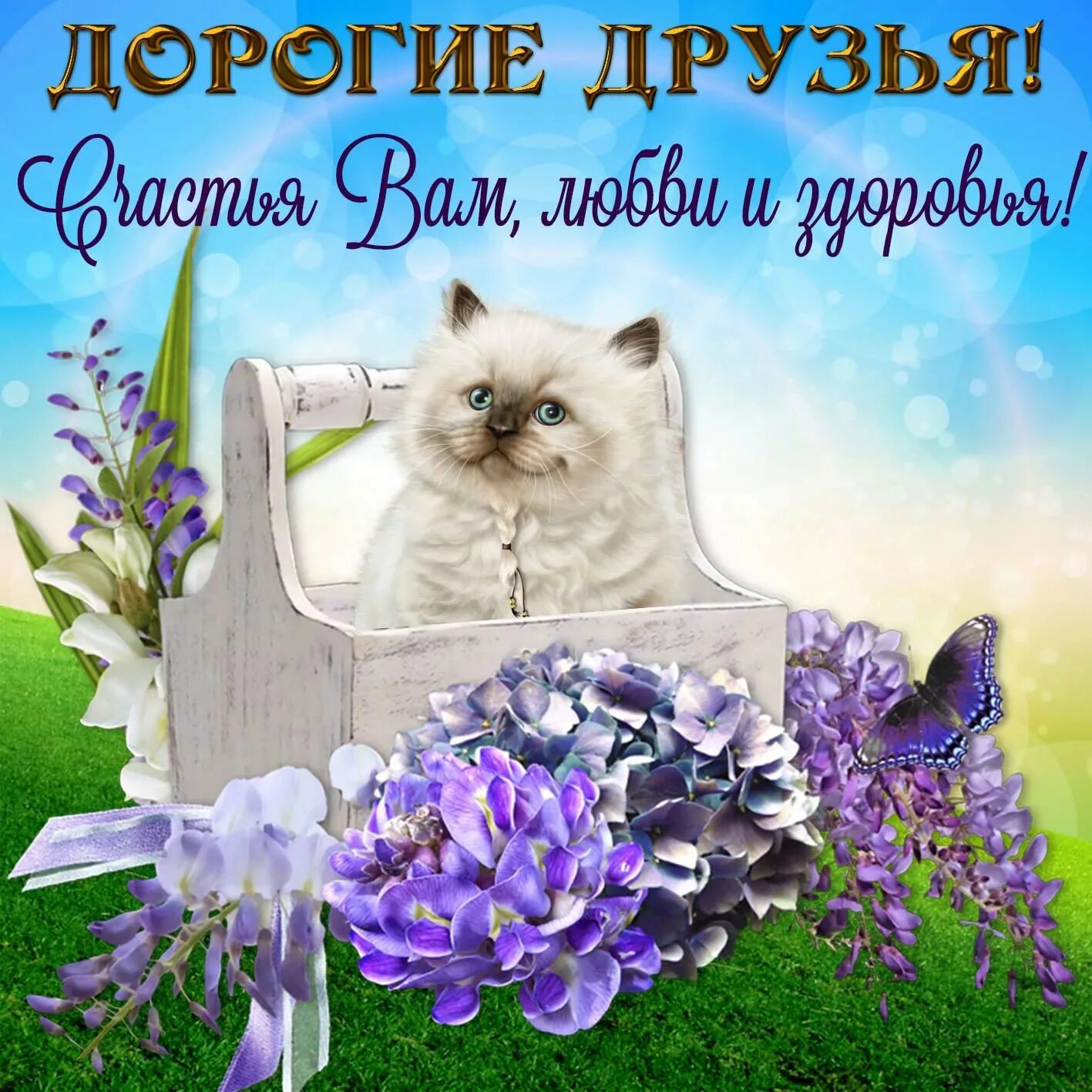 Желаю быть в форме
