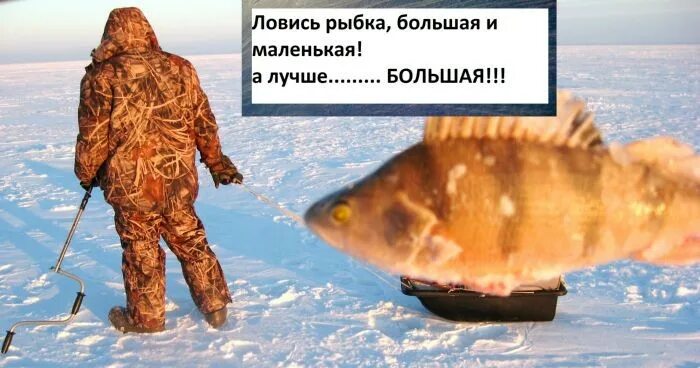 Футболки с рыболовной тематикой. Ловилась рыбка большая и маленькая. Надпись ловись рыбка большая и маленькая. Надпись ловись рыбка большая и маленькая. Ловись рыбка большая картинки.