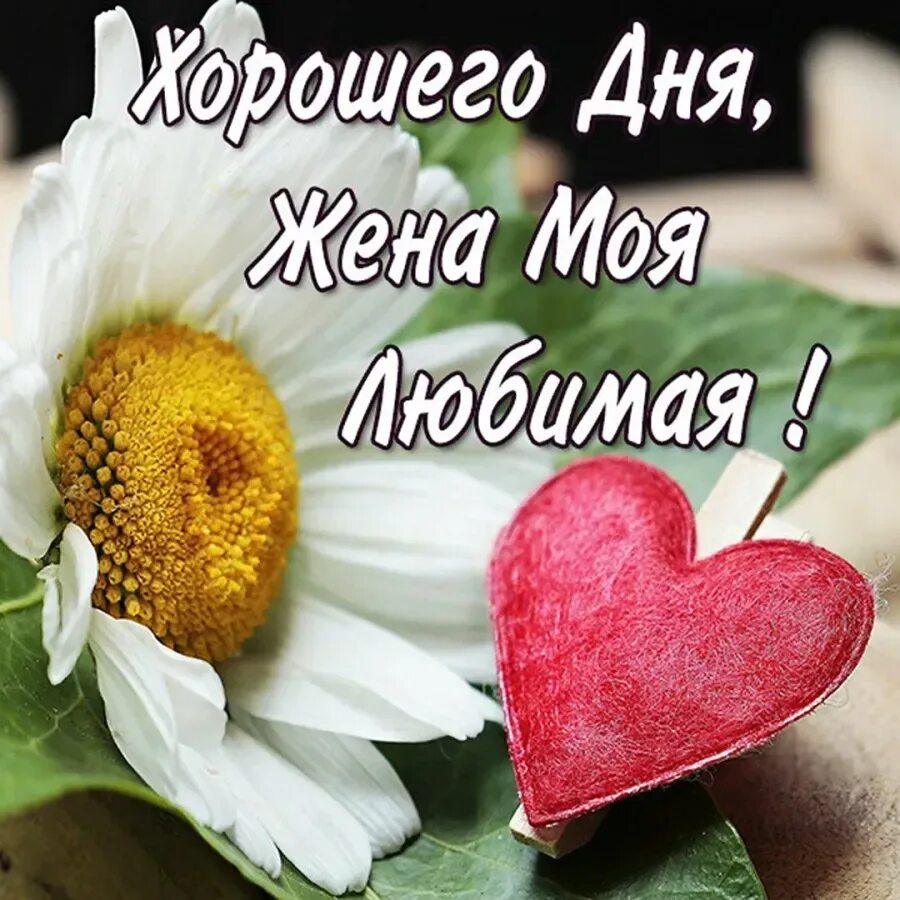 Хорошего дня любимой. Красивые пожелания хорошего дня. Открытки с добрым днём. Доброго дня и хорошего настроения. Доброго дня картинки пожелания любимой.