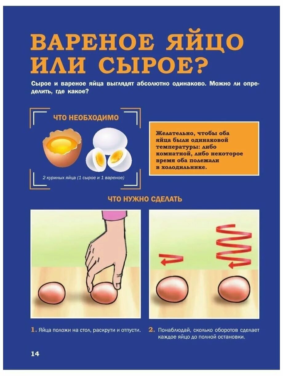 Яйца и продукты переработки яиц. Как проверить яйцо вареное или сырое. Как понять вареное яйцо или нет. Как понять вареное яйцо или нет. Сырое и вареное яйцо.
