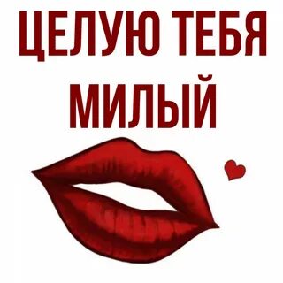 Целуй милая правило
