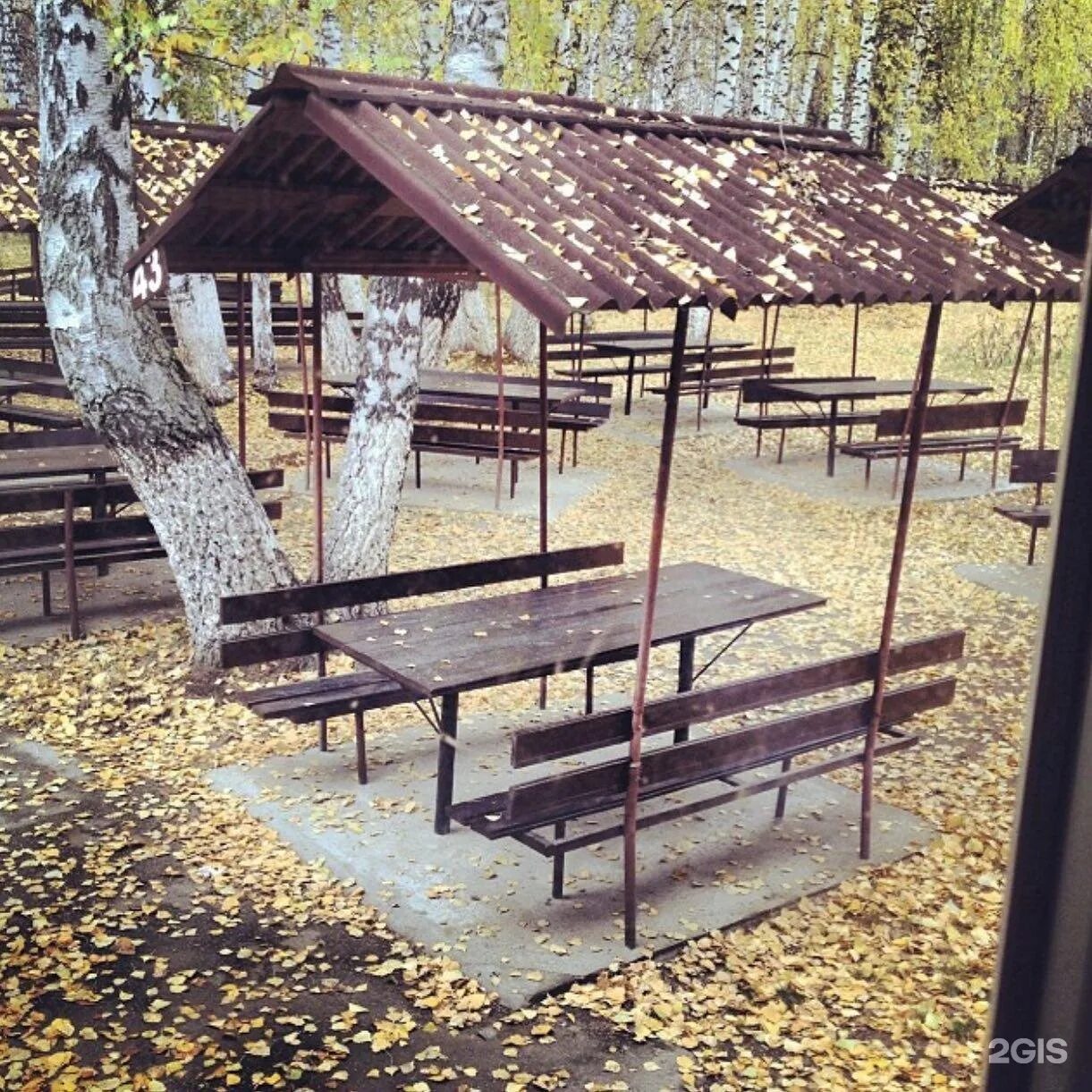 Кафе березка тюмень червишевский. Кафе березка тюмень червишевский. Кафе березка тюмень. Березка червишевский тракт. Березка червишевский тракт.