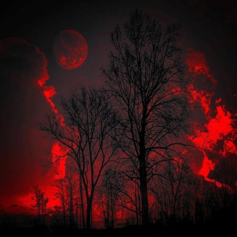 Красная луна. Ночь красная луна. Dark blood moon. Геншин бездна кровавая луна. Красная ночь.