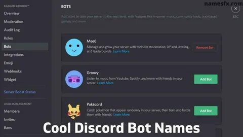 Discord name