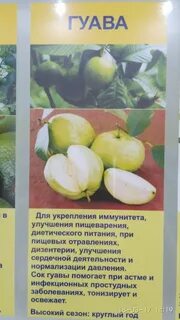 Гуава фрукт польза