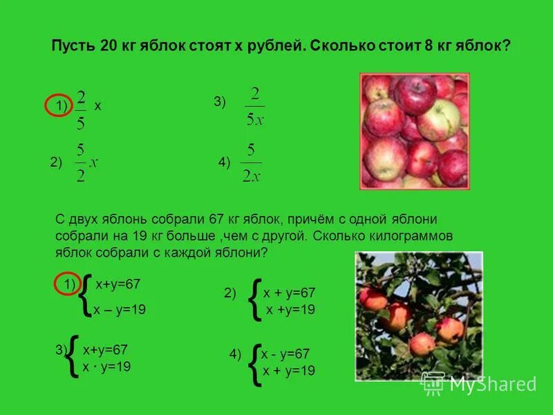 Килограмм яблок главное слово. С двух яблонь собрали 67 кг яблок причем с одной яблони. сколько примерно стоят яблоки. килограмм яблок это сколько. 3 кг яблок.