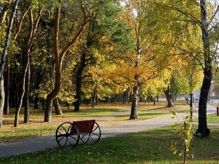 Парк г гомель