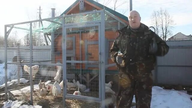 Дед чтп куры. Дед чтп курятник. Дед чтп курятник. Дед курятник. Дед курятник.