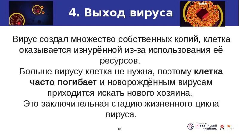 Почему создают вирусы