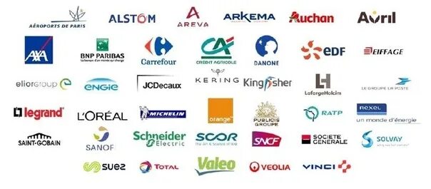 Крупные компании франции. Французская компания которая. Логотип франции. Крупные французские компании. Alstom контроллеры.