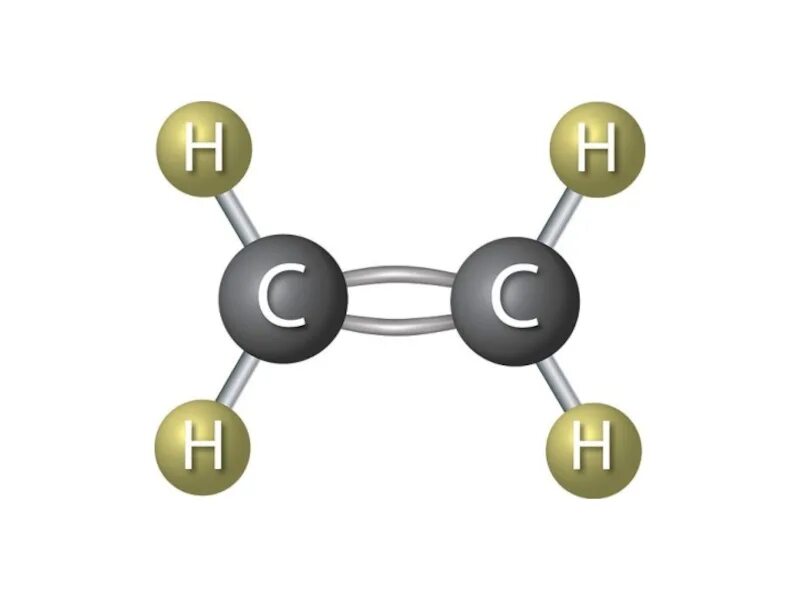 Модели молекул алкенов. Шаростержневая модель молекулы этилена. Алкены шаростержневая модель. Шаростержневая модель этена. Этилен d