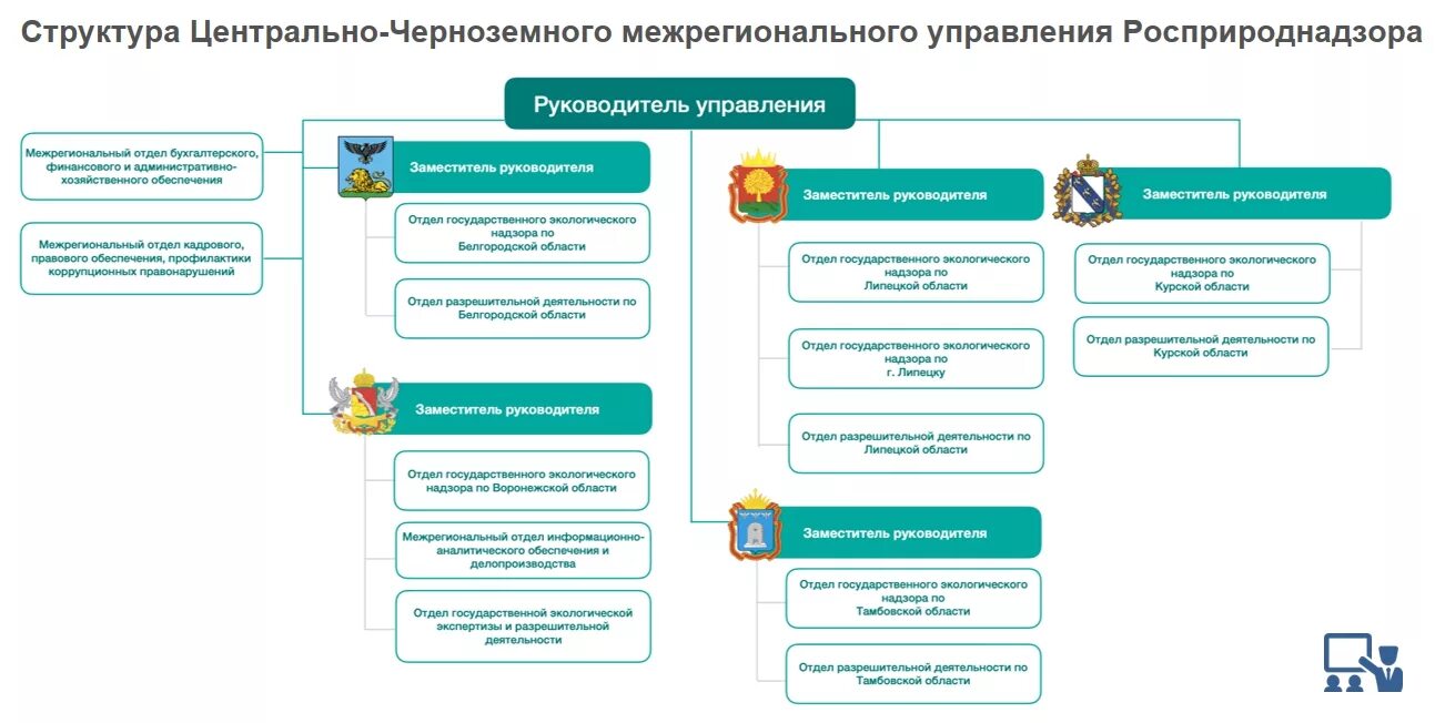 Балтийское арктическое межрегиональное управление. Росприроднадзор структура. Службы по надзору в сфере природопользования структура. Федеральная служба в сфере природопользования структура. Структура межрегионального управления Росприроднадзора.