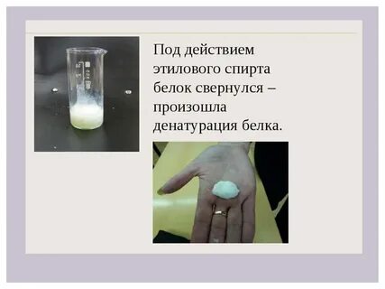 Обнаружение белков