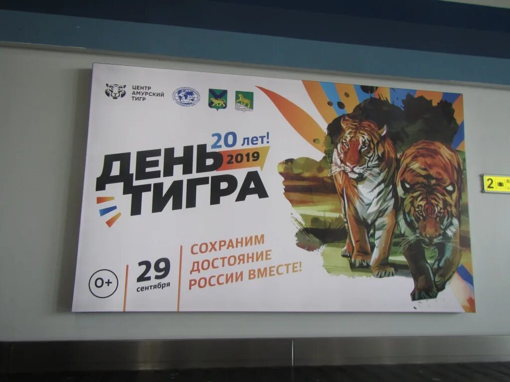 Афиша владивосток март 2024 года. День тигра Владивосток 2020. День тигра Владивосток плакат. Конкурс Тигриный день. Название выставки ко Дню тигра.