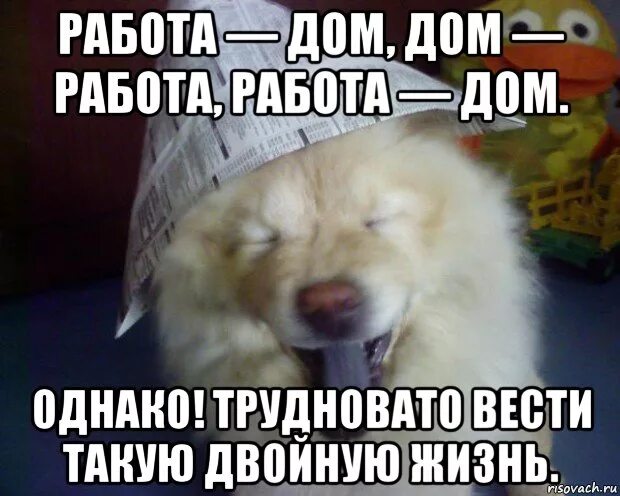 Работа дом работа дом песня. Дом работа дом работа. жизнь дом работа. жизнь работа дом работа дом. работа дом работа стих.