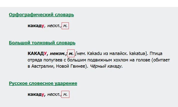 Какаду род существительного. Колибри какой род существительного. Какой род у слова Какаду. Какаду определить род существительного.