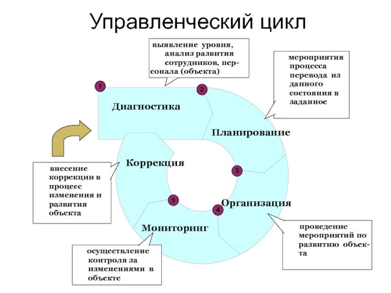 Основные функции цикла управления. Этапы управленческого цикла руководителя. этапы управленческого цикла схема. стадии цикла менеджмента. цикл управления в менеджменте.