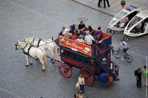Карета сканворд