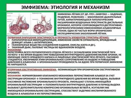 Основные признаки легких