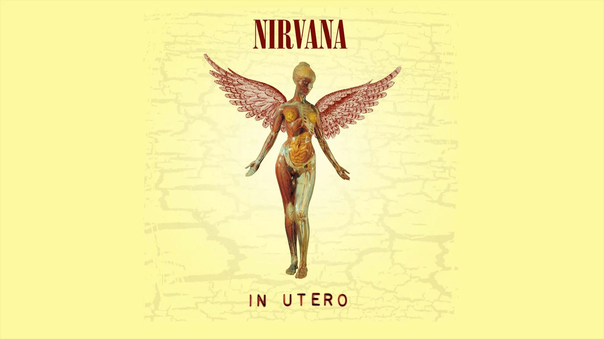 Я прыгаю в нирвану это делает. 1993 - In utero. Нирвана альбом ин утеро. In utero 2013. In utero Nirvana альбомы Nirvana обложка.