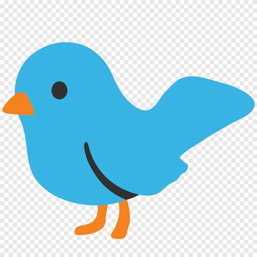 Message bird