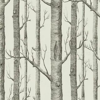 Woods 18