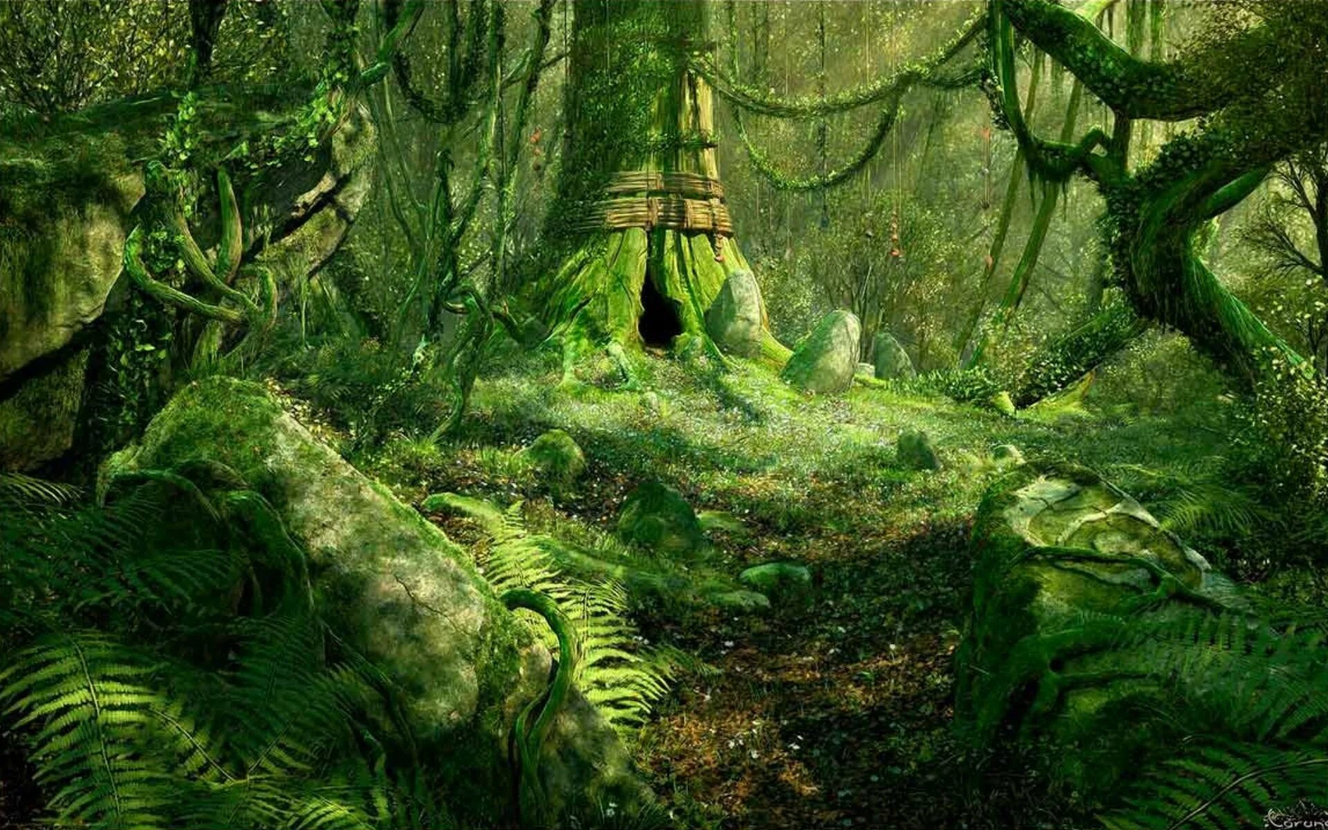 сказочный лес форум. фэнтези лес. игра seasons after fall. сказочный лес. сказочная природа.