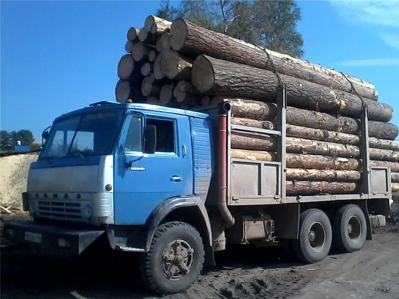 Лесовозы в красноярском крае. КАМАЗ 53212 лесовоз. КАМАЗ 53212 лесовоз с прицепом. Синий КАМАЗ лесовоз 53212. КАМАЗ 53212 лесовоз с манипулятором.