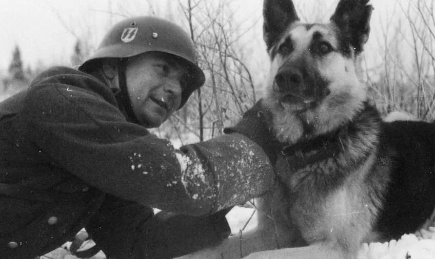 место общения немца с богом. общение немцев. христос и грешник. место общения немца с богом. бронников константин.