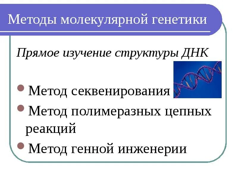 Методы изучения структуры днк