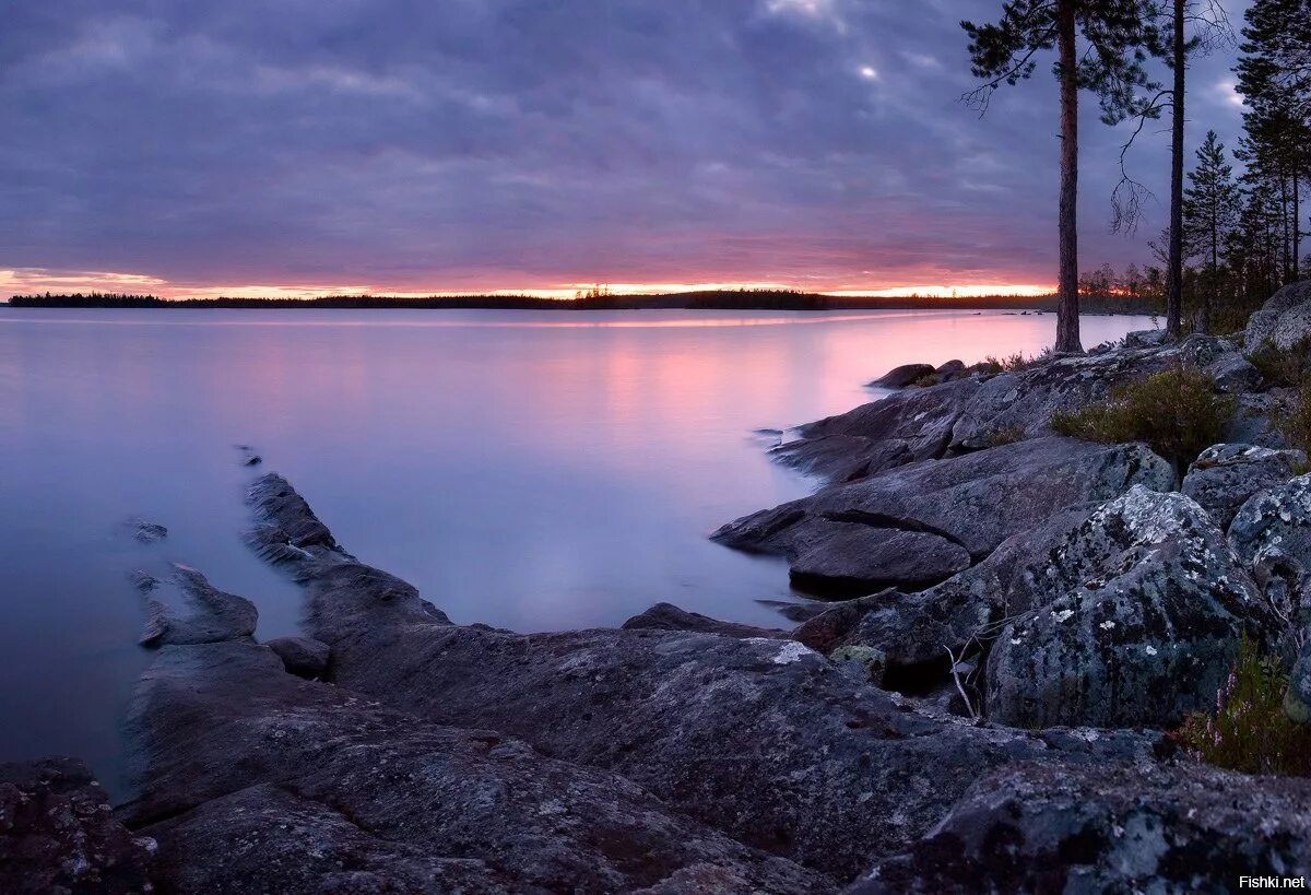Белые ночи в Карелии. Белые ночи на Онежском озере. Белое озеро Карелия. Природа Карелии Онежское озеро. Однажды обходя онежское озеро