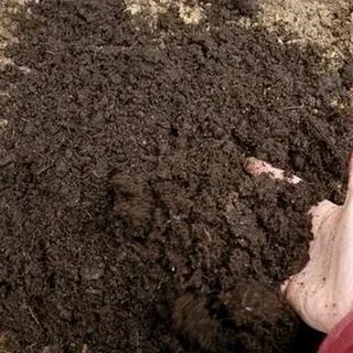 Перегной в теплицу осенью