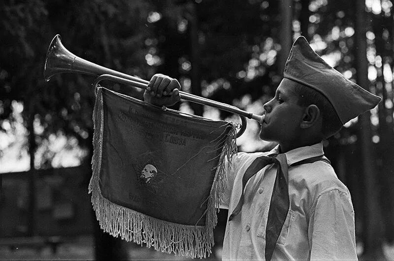 Пионер горнист артек. Горнист корень. Слава коммунистической партии советского союза. Горнист корень. Пионер трубач.