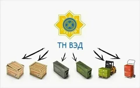 Товарная номенклатура вэд. Тн вэд 3307. Тн вэд еаэс альта софт. Тн вэд еаэс. Тн вэд.