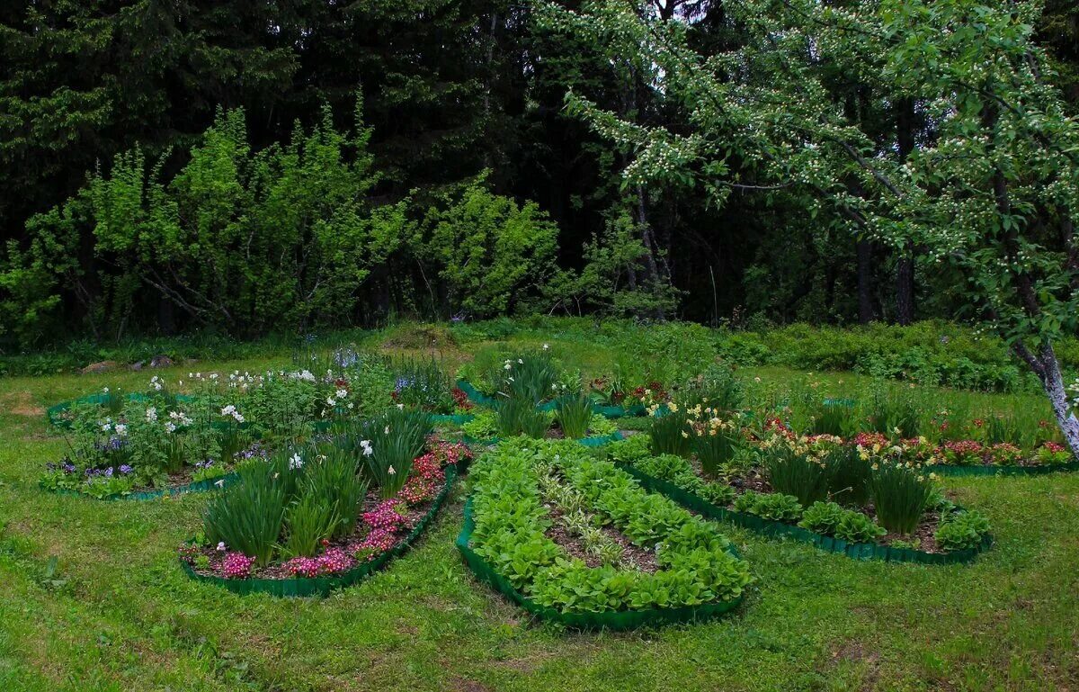 Музей заповедник соловки ботанический сад. Что выращивали в ботаническом саду соловецкого монастыря. Ботанический сад соловецкого музея-заповедника. Ботанический сад соловецкого музея-заповедника. Соловецкий монастырь ботанический сад.