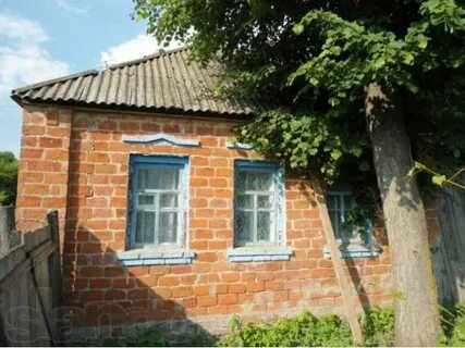 Рп5 бобрава белгородская