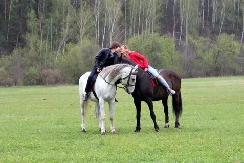 Нова ельня