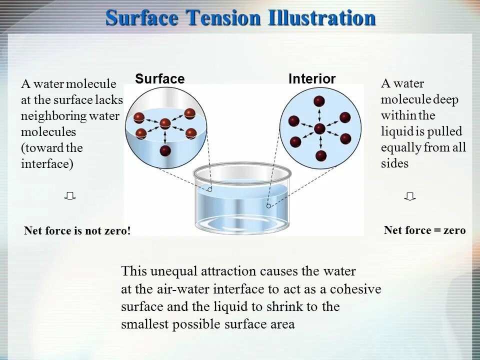 Surfaces and interfaces. Surfaces and interfaces