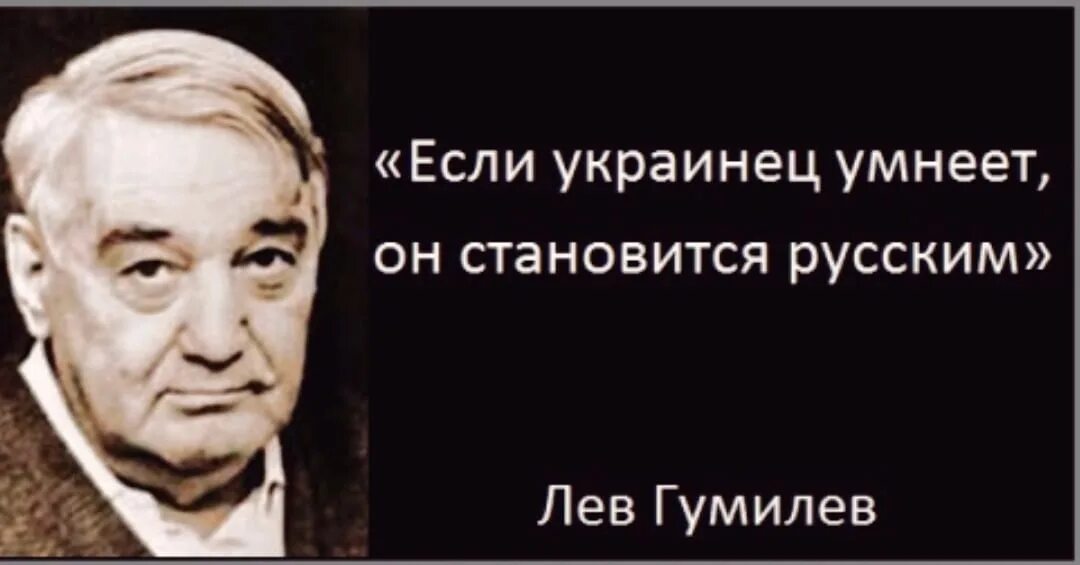 Если человек стал украинцем обратно. Если украинец умнеет он становится русским. Лев Гумилев. Цитаты Льва Гумилева. Лев Гумилев про украинцев.