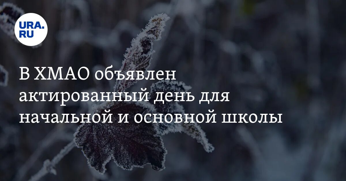 Актировки нефтеюганск 1 смена. Актированные дни Нижневартовск. Актированные дни ХМАО. Актировки в ХМАО для школьников. Актировки Когалым.