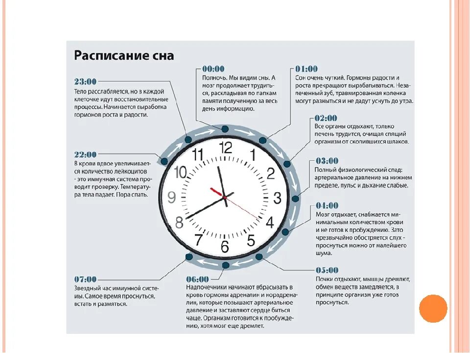 Часы сами включаются. Часы сна. Самые полезные часы для сна. Самые полезные часы СНК. Время сна.