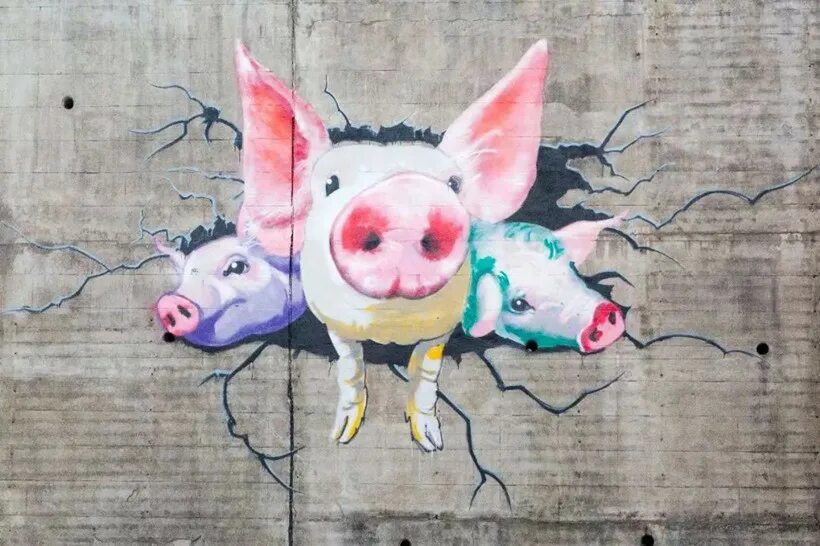 Граффити pig. Граффити мадрид. Граффити свинья в кс. Поросенок на граффити. Граффити свинья в кс.