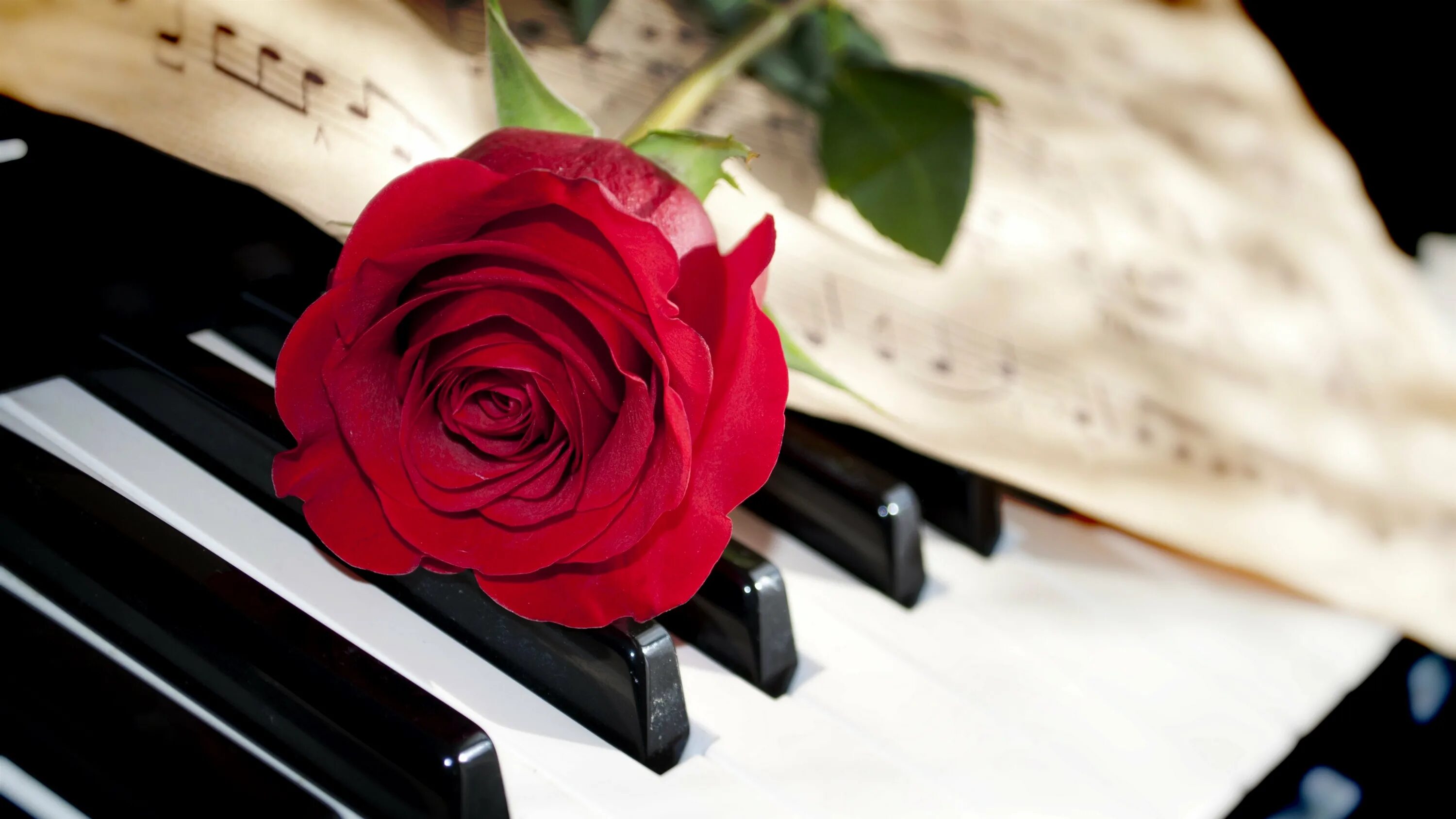 Музыка цветов мп3. Пианино с цветами. Красивое пианино. Рояль с цветами. Фортепиано красивое.