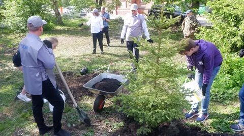 В пермском крае высадили