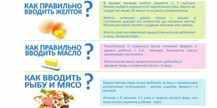 Когда вводить яичный желток в прикорм ребенку. Как правильно вводить яйцо в прикорм ребенку. Ввод яичного желтка в прикорм. Прикорм яйцо ребенку в 6 месяцев. Со скольки можно белок