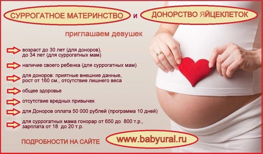 Суррогатное материнство с донорской яйцеклеткой. Как берут яйцеклетку у женщины для суррогатного материнства. Сурагантноематеринство. Суррогатные мамочки фото. Ищем суррогатную мать.