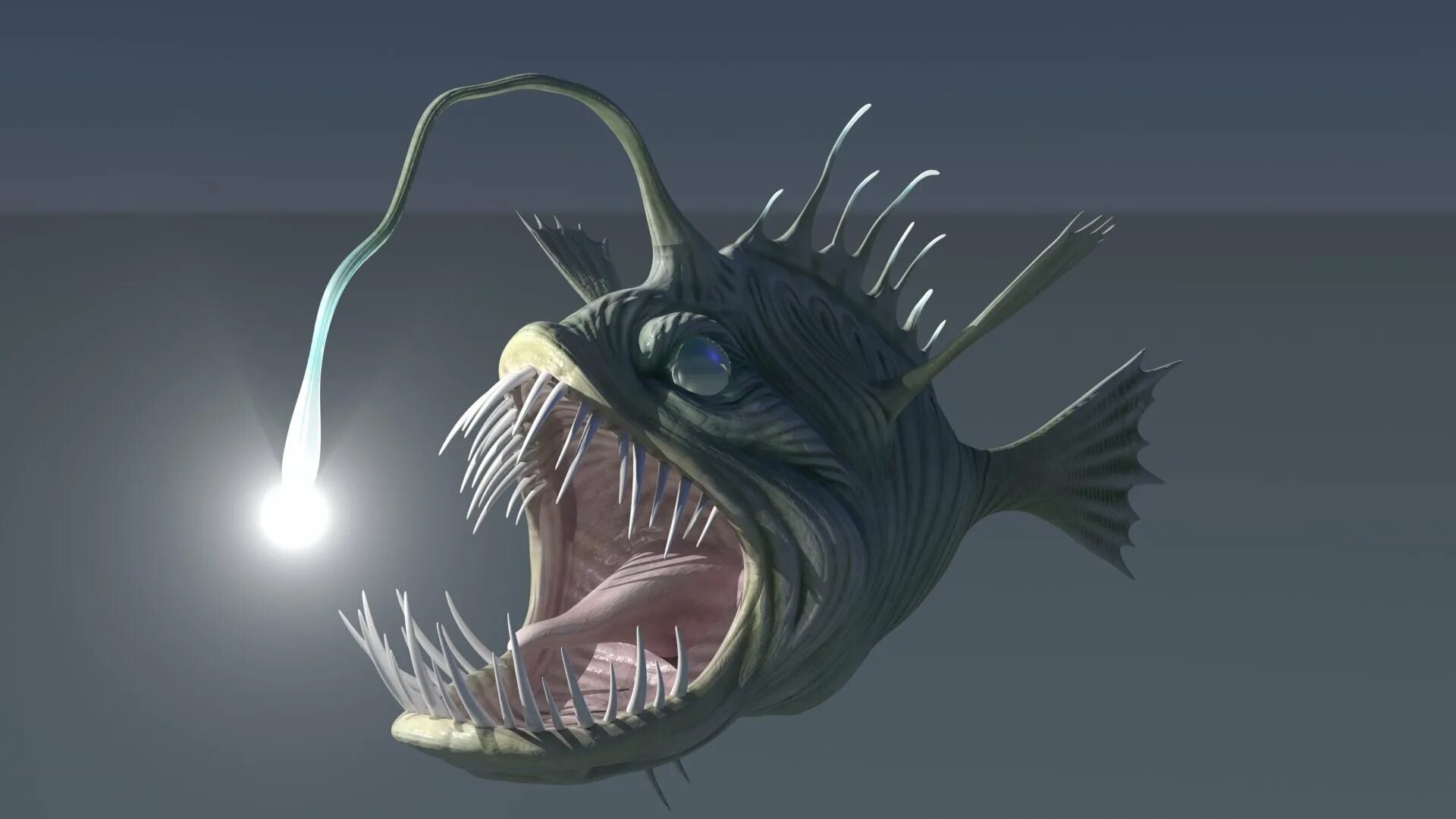 ArtStation - Fishes and Rigs